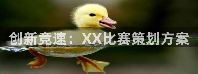 赏金国际链接网址：创新竞速：XX比赛策划方案