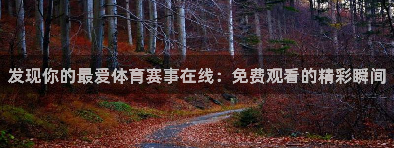 赏金游app官网：发现你的最爱体育赛事在线：免费观看的精彩瞬间