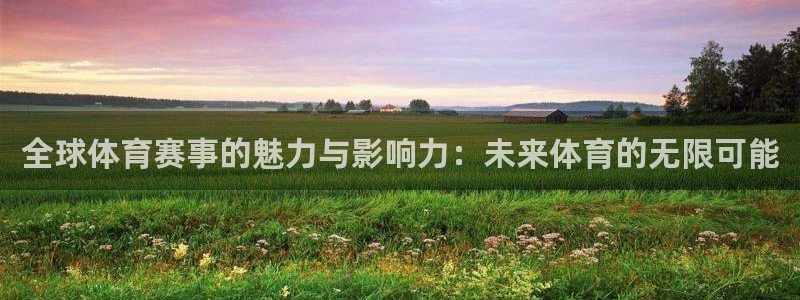 赏金国际下载链接：全球体育赛事的魅力与影响力：未来体育的无限可能