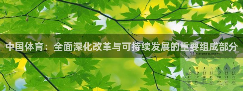 人民赏金app官网：中国体育：全面深化改革与可持续发展的重要组成部分