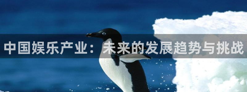 赏金国际在线下载