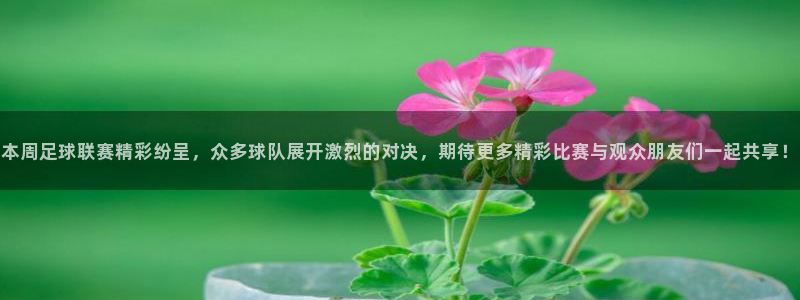 赏金国际