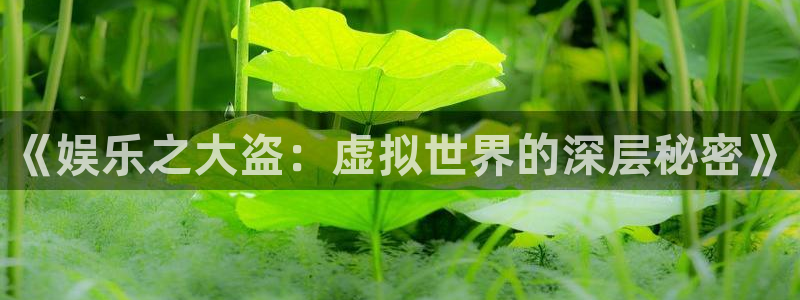 赏金国际pg正版官网版手游下载