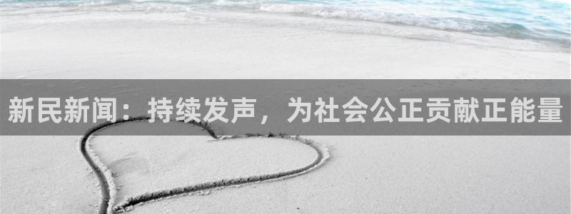 赏金国际是什么