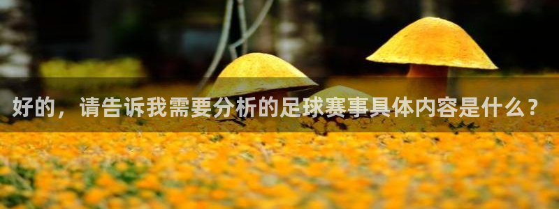 赏金游app下载：好的，请告诉我需要分析的足球赛事具体内容是什么？