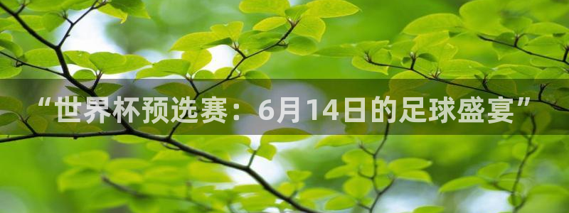 赏金国际官网：“世界杯预选赛：6月14日的足球盛宴”