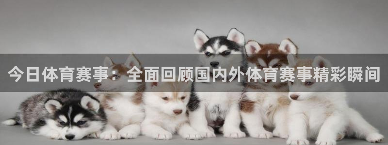 千行赏金app：今日体育赛事：全面回顾国内外体育赛事精彩瞬间