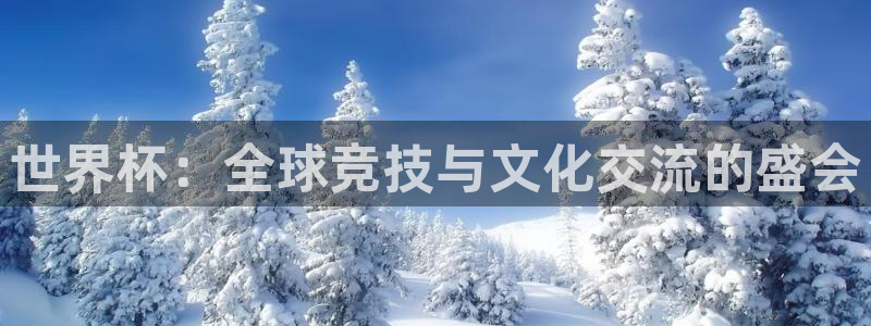 赏金国际下载安装：世界杯：全球竞技与文化交流的盛会